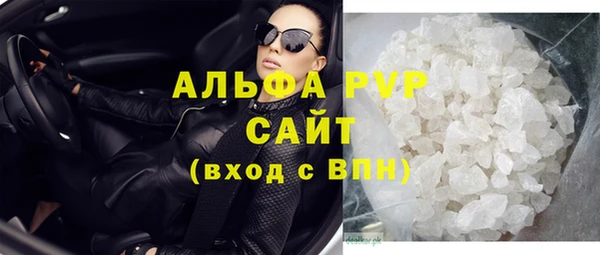 прущие грибы Переславль-Залесский