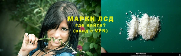 прущие грибы Переславль-Залесский