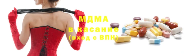 прущие грибы Переславль-Залесский