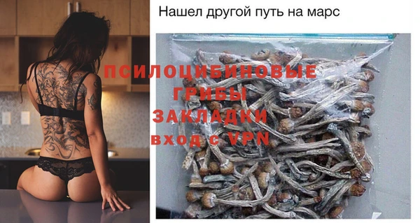 прущие грибы Переславль-Залесский